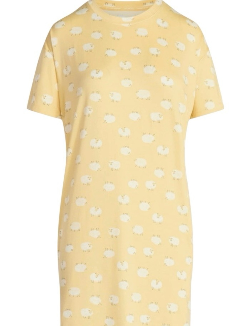 Joyspun Dreamy Soft Collection Short Sleeve Sleepshirt
